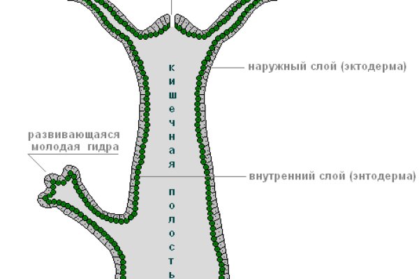 Кракен наркошоп vtor run