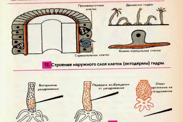 Что за приложение кракен